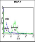 TAF2 Antibody (C-Term)